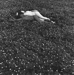 Artwork Title: Anemone, Switzerland