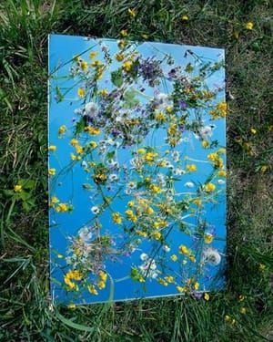 Artwork Title: Untitled