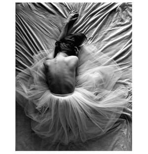 Artwork Title: Untitled