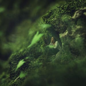 Artwork Title: Untitled