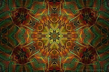 Artwork Title: Seasonal Artemia
