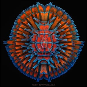 Artwork Title: Desmid Mandala