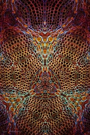 Artwork Title: Untitled
