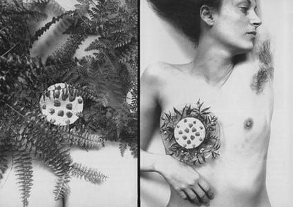 Artwork Title: Breastplate