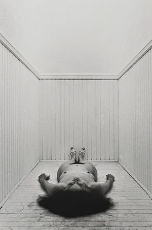 Artwork Title: So Help Me Hannah
