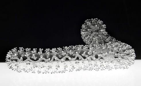 Artwork Title: Untitled