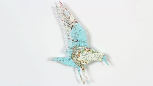 Artwork Title: Illustrated Aviary: Red-breasted Sandpiper (Red Knot)