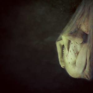 Artwork Title: Quarantaene