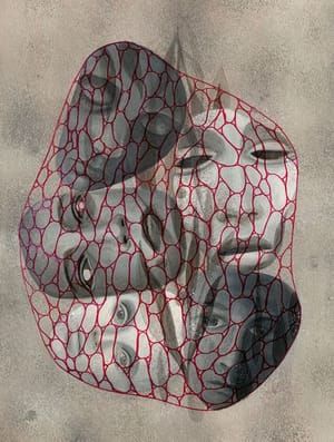 Artwork Title: Bag Full Of Disillusions