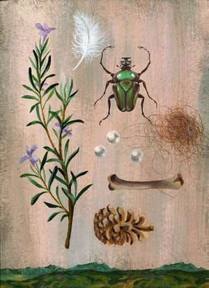 Artwork Title: Treasures Of Nature