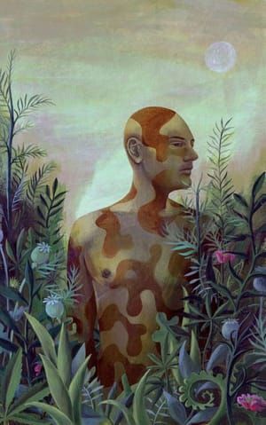 Artwork Title: Camouflage