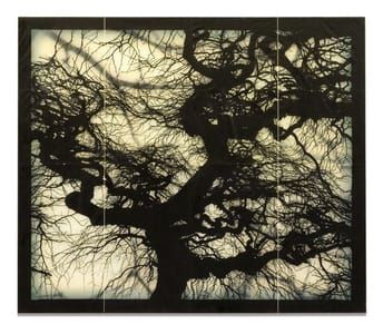 Artwork Title: Structure Of Thought 14