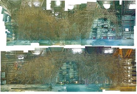 Artwork Title: Big Bambu