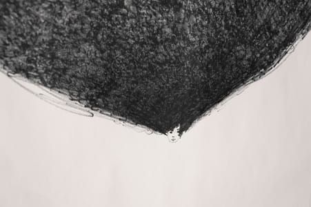 Artwork Title: Hair Brain 9 (detail)