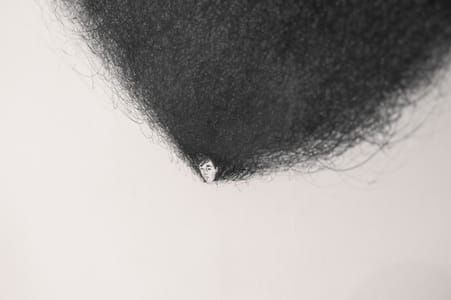 Artwork Title: Hair Brain 13 (detail)