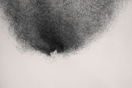 Artwork Title: Hair Brain 12 (detail)