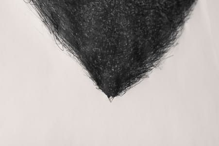 Artwork Title: Hair Brain 14 (detail)