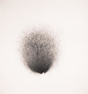 Artwork Title: Hair Brain 11