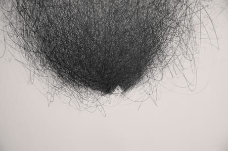 Artwork Title: Hair Brain 11 (detail)