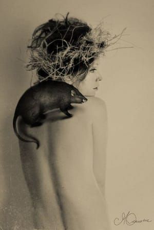 Artwork Title: Untitled