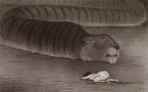 Artwork Title: The large boa