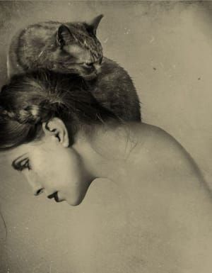 Artwork Title: Untitled