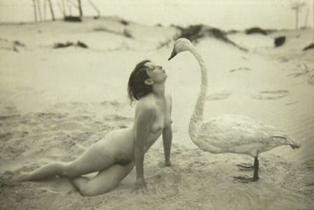 Artwork Title: Leda and the Swan