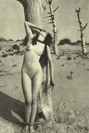 Artwork Title: Nu bondage à l'exterieur