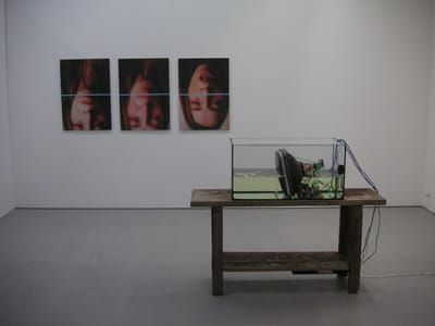 Artwork Title: Human Air System