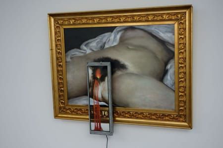 Artwork Title: Ursprung Der Welt 2.0