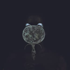 Artwork Title: The Egyptian Bride Holding A Polished Bronze Mirror