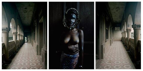 Artwork Title: Untitled triptych from series Demoiselles de Porto Novo