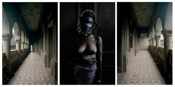Artwork Title: Untitled triptych from series Demoiselles de Porto Novo