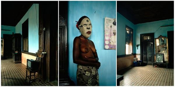 Artwork Title: Untitled triptych from series Demoiselles de Porto Novo