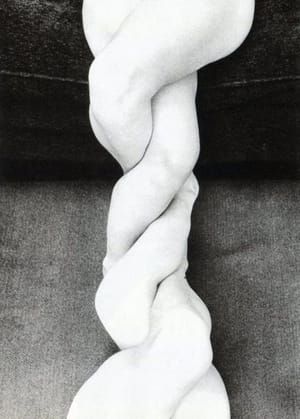 Artwork Title: Double Legs