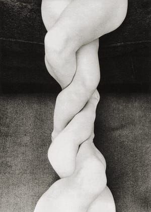 Artwork Title: Double Legs