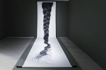 Artwork Title: Long hair