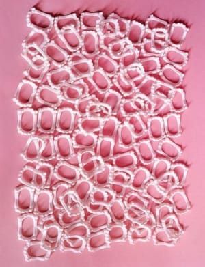 Artwork Title: Fang Life (Gum)