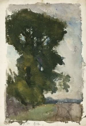 Artwork Title: Tree Study