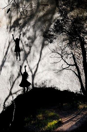 Artwork Title: The Wild Swans