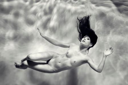 Artwork Title: Rebirth 7