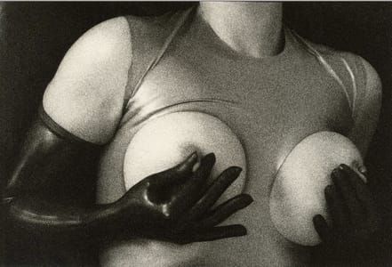 Artwork Title: Nipped
