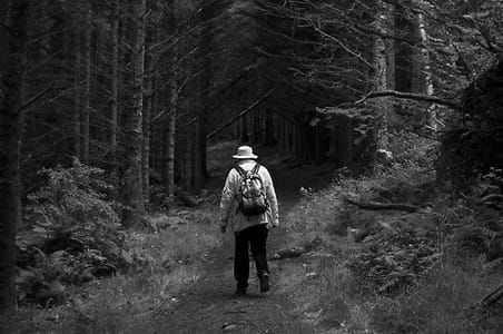 Artwork Title: Grandfather in the Woods