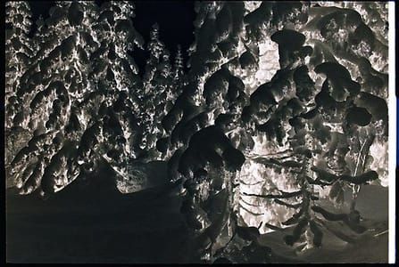 Artwork Title: Snowy Woods II
