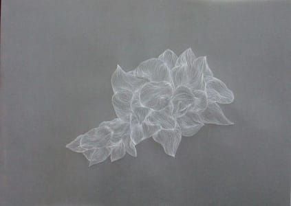 Artwork Title: Amanitas