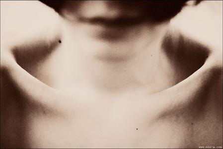 Artwork Title: Armour