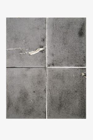 Artwork Title: Sterilized Dirt A5
