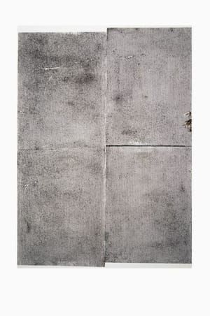 Artwork Title: Sterilized Dirt A2