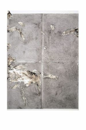 Artwork Title: Sterlized Dirt A1