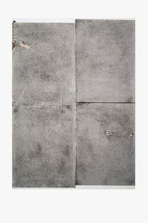 Artwork Title: Sterilized Dirt A4